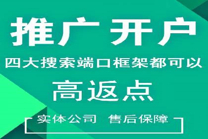信息流广告推广实战案例分析